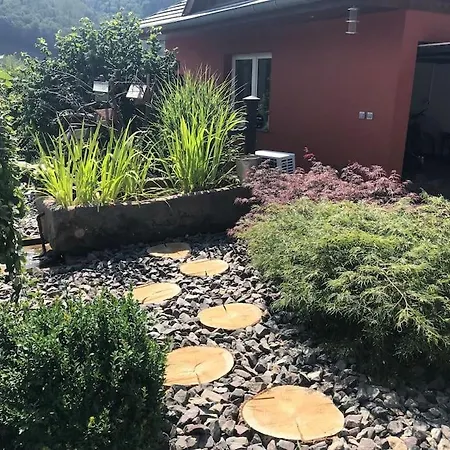 Des Renards La Broque