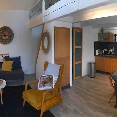 Des Renards Prázdninový dům La Broque