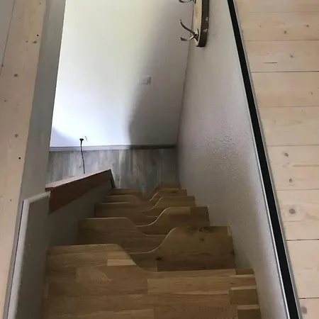 Des Renards La Broque