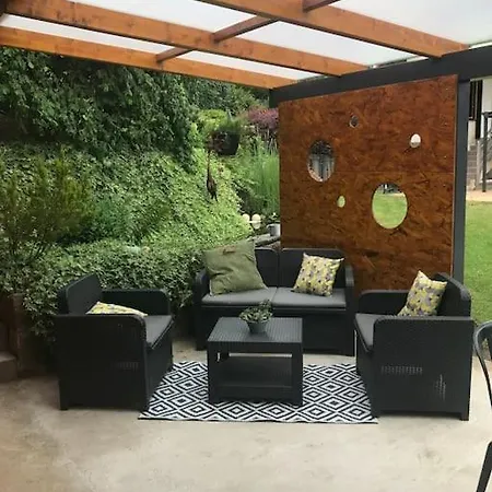 Des Renards La Broque