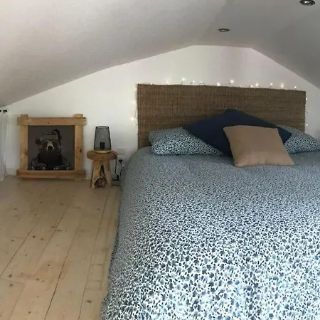 Des Renards * La Broque