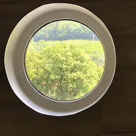 Des Renards * La Broque