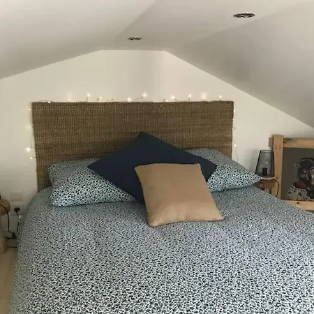 Des Renards * La Broque